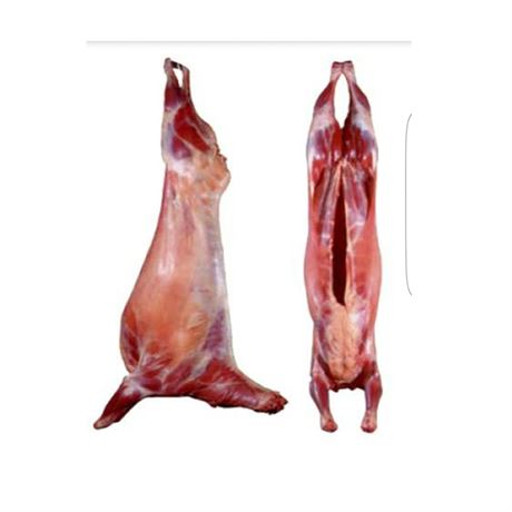 ሙሉ ፍየል መካከለኛ 8-10kg /Whole Goat medium 8-10kg