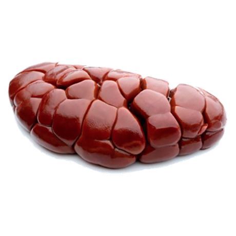 የበሬ ኩላሊት/Beef Kidney 1kg