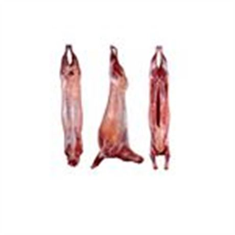 ሙሉ በግ (10-12kg) / Slaughtered Sheep (10-12kg)