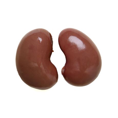 Goat Kidneys